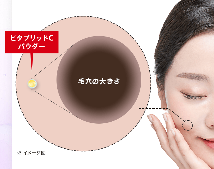 ビタブリッドCパウダー毛穴の大きさ※イメージ図