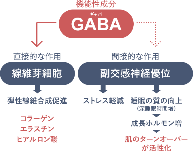 機能性成分GABA図