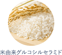米由来グルコシルセラミド