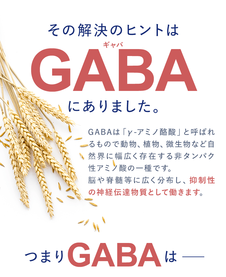 その解決のヒントはGABAにありました。GABAは「γ-アミノ酪酸」と呼ばれるもので動物、植物、微生物など自然界に幅広く存在する非タンパク性アミノ酸の一種です。脳や脊髄等に広く分布し、抑制性の神経伝達物質として働きます。つまりGABAは