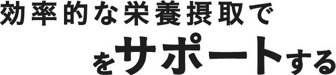 効率的な栄養摂取で成長期をサポートするLevel Up!