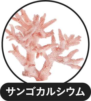 サンゴカルシウム