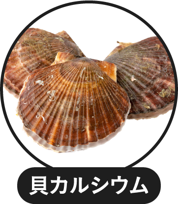 貝カルシウム